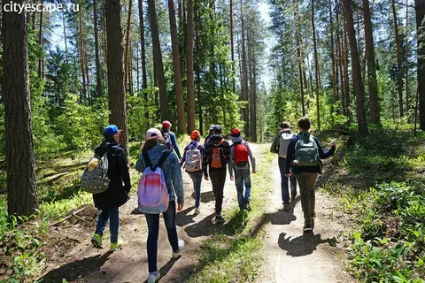 Изображения.